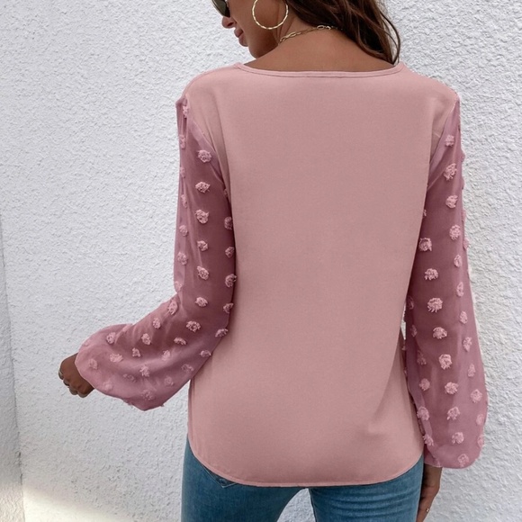 Swiss Dot Sheer Sleeve V neck Minimalist Top - Picture 8 of 13